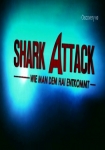 Shark Attack - Wie man dem Hai entkommt