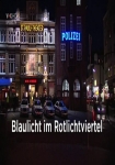 Blaulicht im Rotlichtviertel: Die Hamburger Davidwache